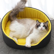 블럭마트 3D 반려동물 쿠션, 혼합색상