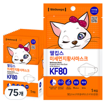 웰킵스 미세먼지황사마스크 중형 KF80, 1개입, 75개