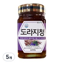 힐링앤팜 도라지청, 500g, 5개, 5개