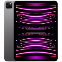 Apple 정품 2022 아이패드 프로 11 4세대 M2칩, 스페이스그레이, 2TB, Wi-Fi