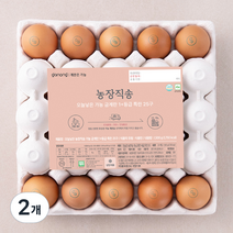 가농 오늘낳은 농장직송 1+ 등급 특란 25구, 2개