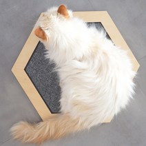 테코보 고양이 육각 스크래쳐, 원목색, 1개