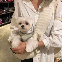 딩동펫 반려동물 폭닥 슬링백