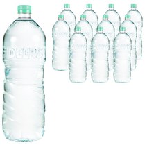 딥스 에코그린, 2L, 12개