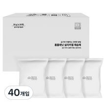 홈플래닛 실리카겔 제습제, 20g, 40개입
