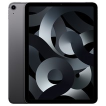 Apple 2022 아이패드 에어 5세대, 스페이스 그레이, 256GB, Wi-Fi+Cellular