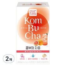 쟈뎅 아워티 콤부차 자몽 10p, 5g, 10개입, 2개