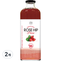 발란스그로우 로즈힙 퓨레 1개, 1000ml, 2개