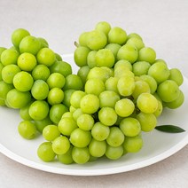 딜리조이 GAP 샤인머스캣, 1.5kg, 1박스