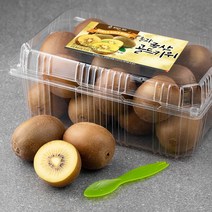 올바른과일 올과 국산 골드키위 + 키위 스푼, 1.5kg(17~19입), 1개