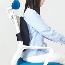 프랑떼 바른자세 게이밍 허리쿠션, 네이비