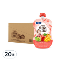 베베쿡 처음먹는 유기농 과일 100ml, 20개