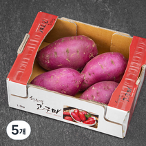 해들녘 무농약 고창황토 고구마, 1.5kg(왕특), 5개
