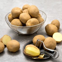 곰곰 국내산 감자, 1kg, 1봉