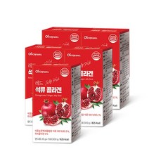 로니웰 레드 석류 콜라겐 젤리 스틱 20g x 15p, 5개, 300g