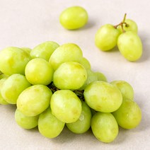 페루산 씨없는 청포도, 500g, 1개