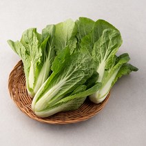 GAP 인증 국내산 얼갈이, 500g, 1개