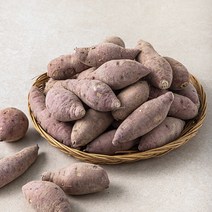 해남 꿀고구마, 5kg(한입), 1개