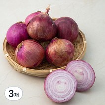 국내산 자색양파, 3kg, 3개