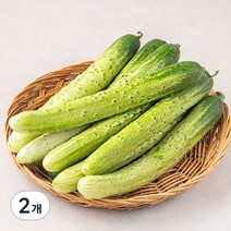 곰곰 국내산 백오이, 2kg, 2개