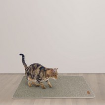 펫츠몬 고양이 논슬립 카페트 스크래처 M 75cm x 45cm, 브라운, 1개