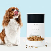 페토이 반려동물 고양이 강아지 자동급식기 HT-L001, 3.5L, 모던화이트