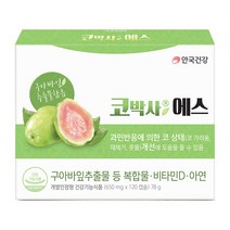 안국건강 코박사에스 영양제, 120정, 1개