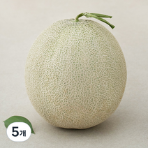 머스크메론, 1.2kg, 5개