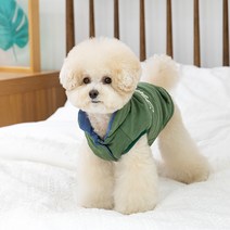 펫츠랜드 반려동물 레터링 양면 베스트, 그린