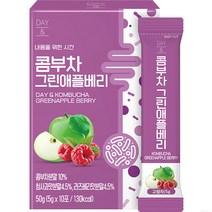 데이앤 콤부차 그린애플베리, 5g, 10개입, 1개