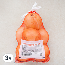 곰곰 국내산 양파, 1.5kg, 3개