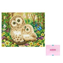 디클레어 액자 캔버스형 보석십자수 DIY 키트 40 x 50 cm, 1세트, 부엉이 모녀 2