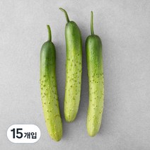 국내산 백오이, 3개입, 5개