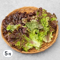 국내산 한끼 적상추, 80g, 5개