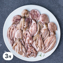 김씨밥 깔끔하게 손질한 주꾸미 (냉장), 500g, 3개