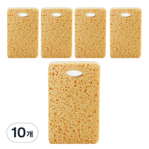 잇데코 코코넛 자연으로 돌아가는 수세미, 1개입, 10개