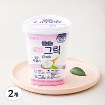 불가리스 락토프리 그릭요거트, 400g, 2개