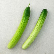 국내산 백오이 2개입, 1봉