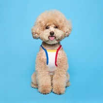 플로트 콤비 강아지 나시, 화이트