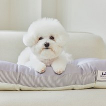 히즈독 소형견 중형견 풍기인견 아임 방석 커버일체형, 쿨그레이