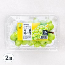 아리당찬 100% 비파괴 당도선별 샤인머스캣, 600g, 2팩