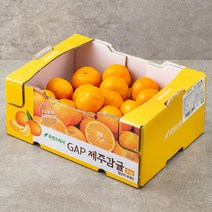 GAP 하우스 감귤, 3kg, 1박스