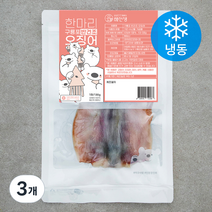 해선생 한마리 구룡포 반건조 오징어 (냉동), 130g, 3개
