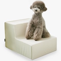 쁘리엘르 마카롱 강아지 계단 2층, 페일민트