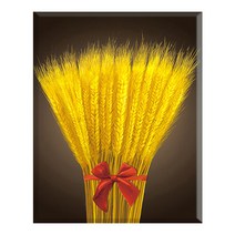 히여 DIY 보석 십자수 캔버스형 40 x 50 cm, 26. 재물을 부르는보리 KS-502, 1세트