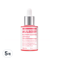 어퓨 산뽕나무 잡티 앰플, 30ml, 5개