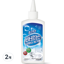 생활공식 초간단 바르는 곰팡이 제거젤, 200ml, 2개