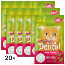 캣템 고양이 스피루리나 덴탈 간식 60g, 비프, 20개
