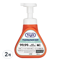 하이지아 핸드워시 유칼립투스, 2개, 385ml