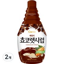 청우식품 패밀리 쵸코렛시럽, 520g, 2개